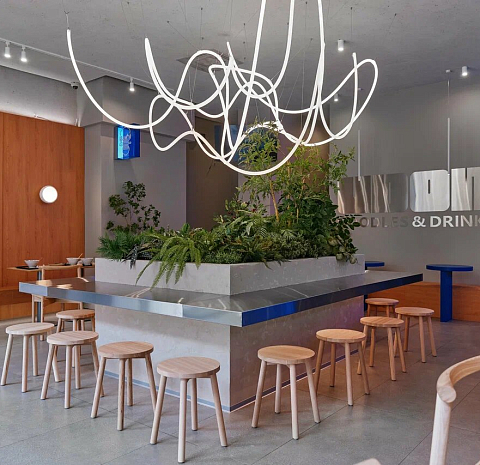 Udon Noodles & Drinks