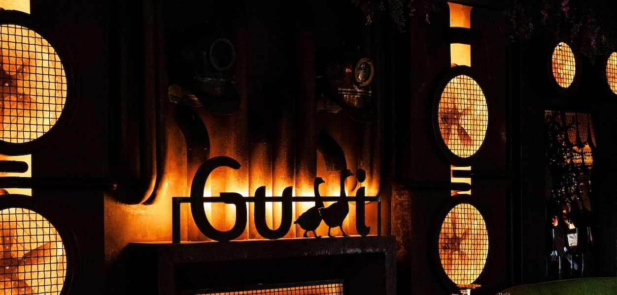 GUSSI - фотография № 1
