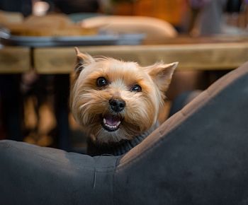 Рынок на Ленинском