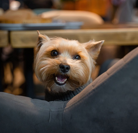 Рынок на Ленинском