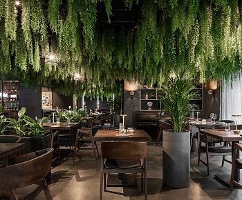 Bluefin Жуковка