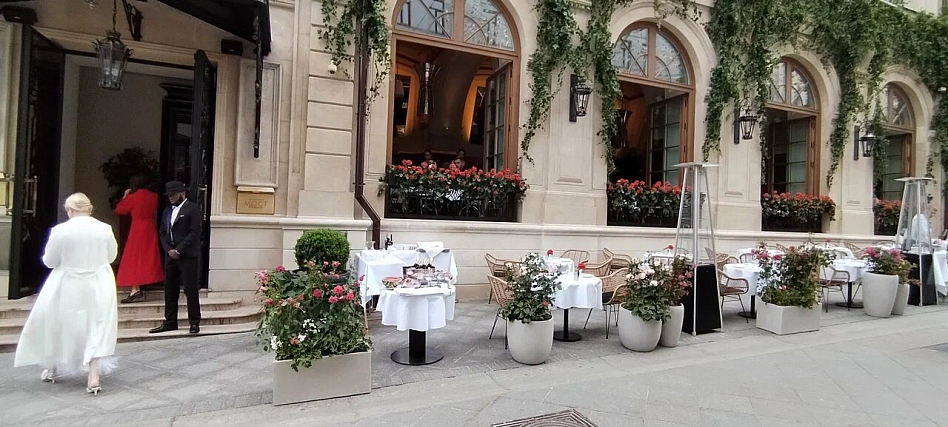 Kaifuso - фотография № 7