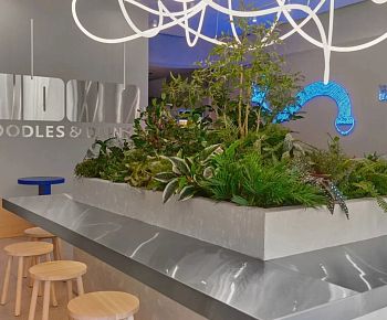 Udon Noodles & Drinks