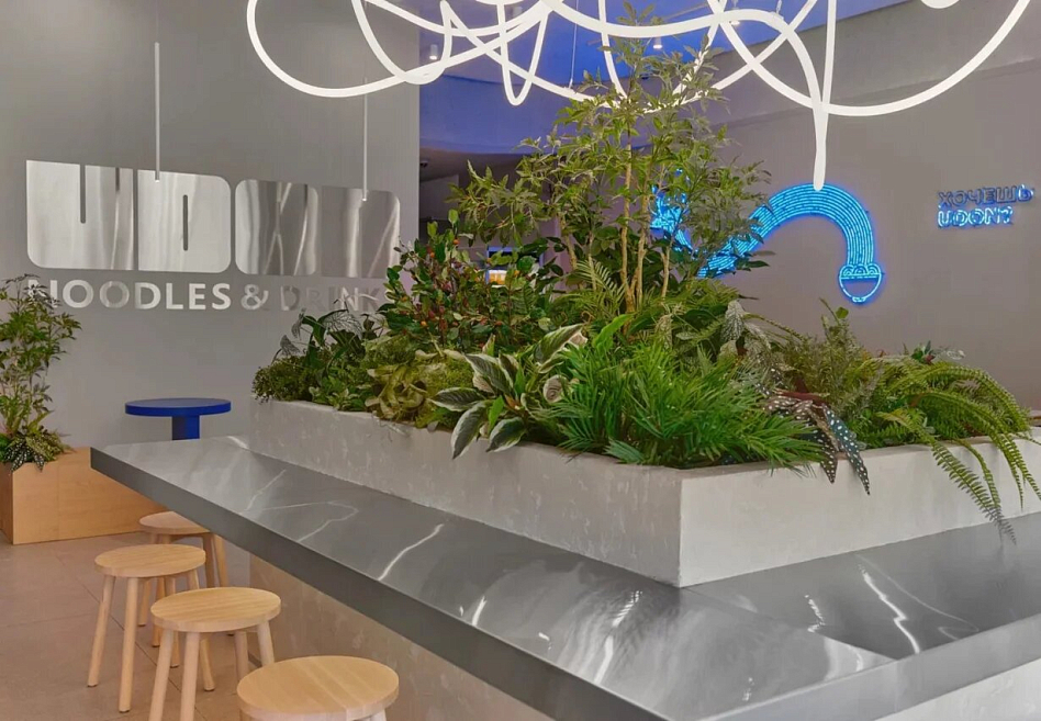 Udon Noodles & Drinks - фотография № 6