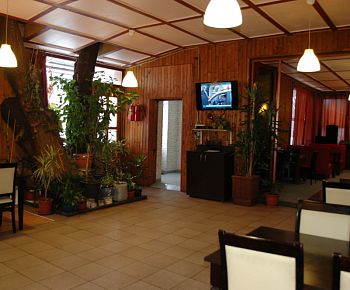 Старые друзья