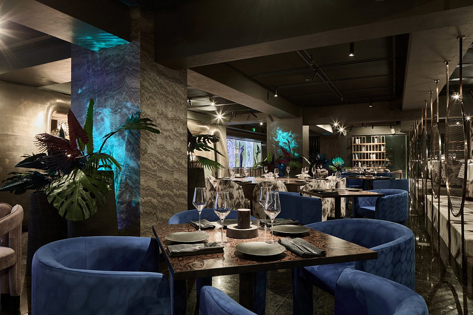 Косма & Дамиан - фотография № 5