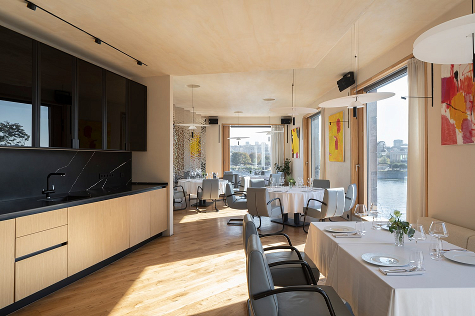 Sansa - фотография № 4