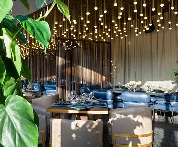 BAMBOO.BAR