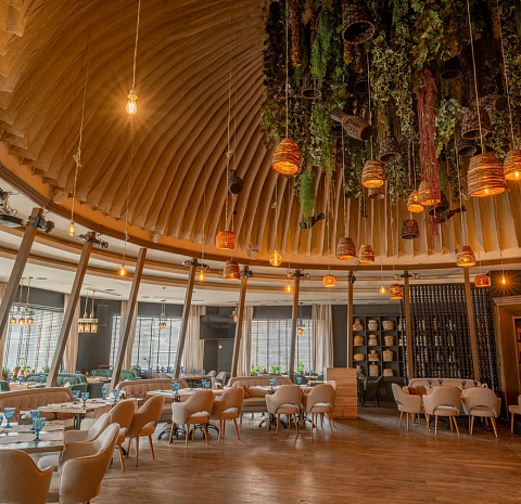 Незагорами