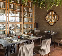 Levantine / Левантин фото 2