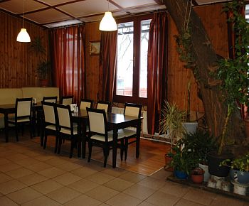 Старые друзья