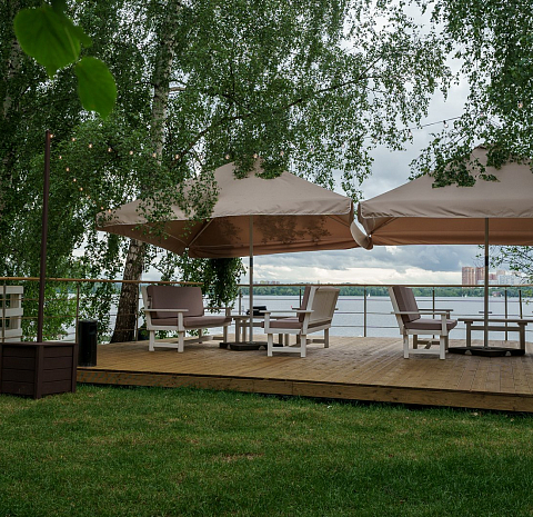 Берёзы парк