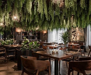 Bluefin Жуковка