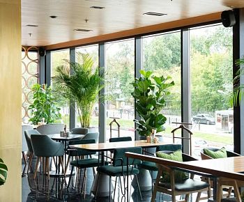 Vasilchuki chaihona № 1 (Солнечный рай)