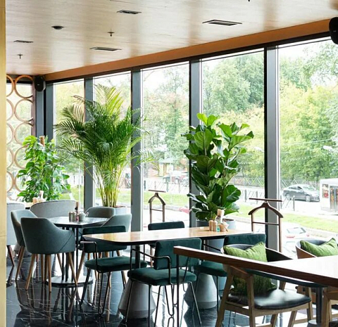 Vasilchuki chaihona № 1 (Солнечный рай)