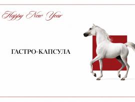 Специальное новогоднее предложение от AgalarovRest