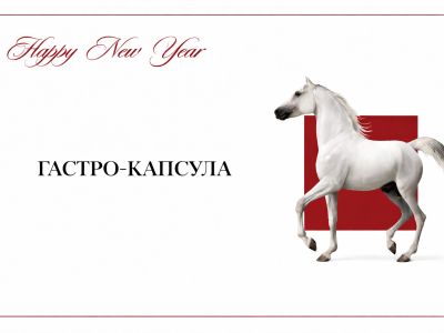 Специальное новогоднее предложение от AgalarovRest