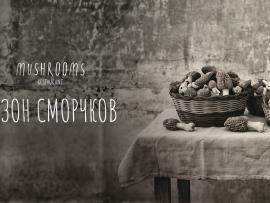 Сезон сморчков в «Машрумс»