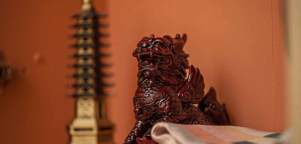 Chinatown / Китай-город (закрыт) - фотография № 26
