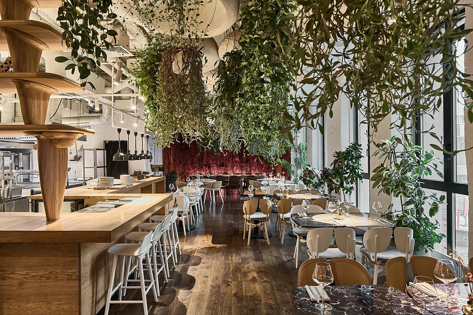 Sapiens - кухня авторская