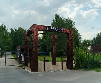 Берёзы парк