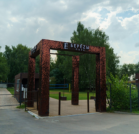 Берёзы парк