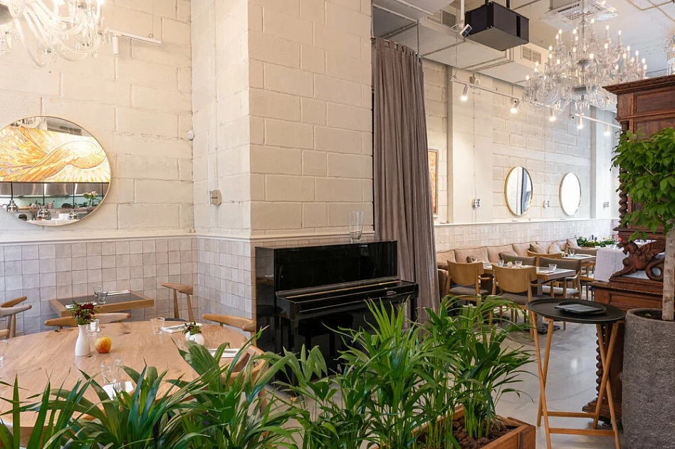 Цыпочка - фотография № 4