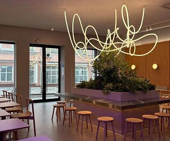 Udon Noodles & Drinks