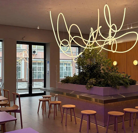 Udon Noodles & Drinks