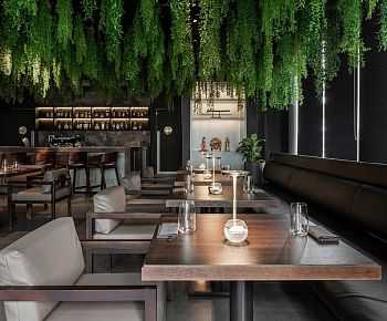 Bluefin Жуковка