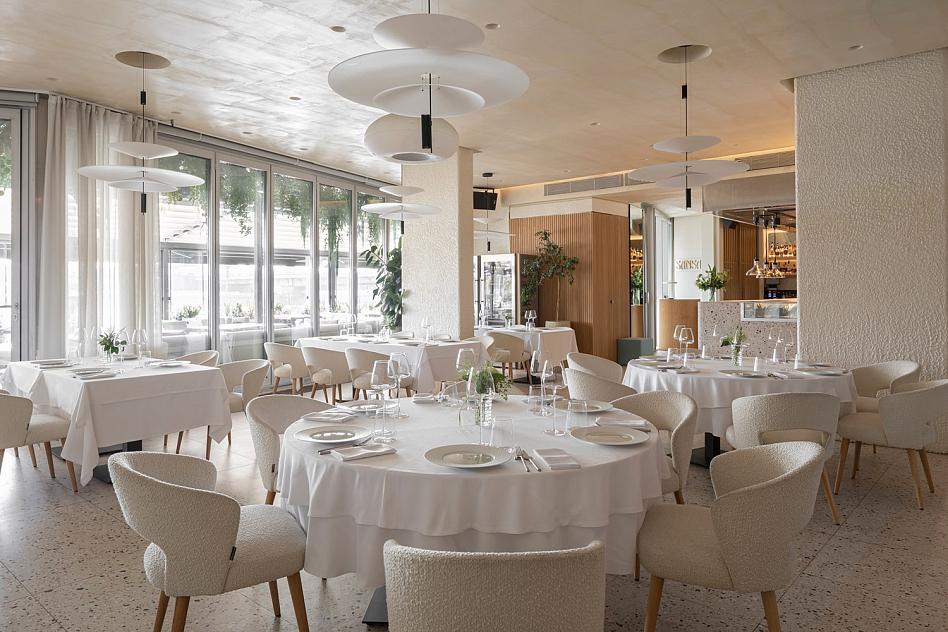 Sansa - фотография № 15