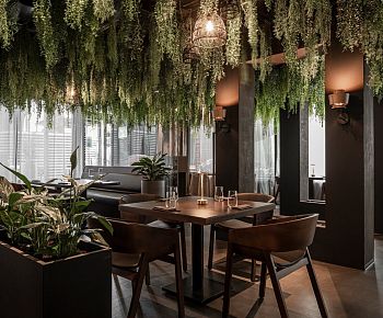 Bluefin Жуковка