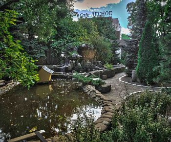 Лесное (закрыт)