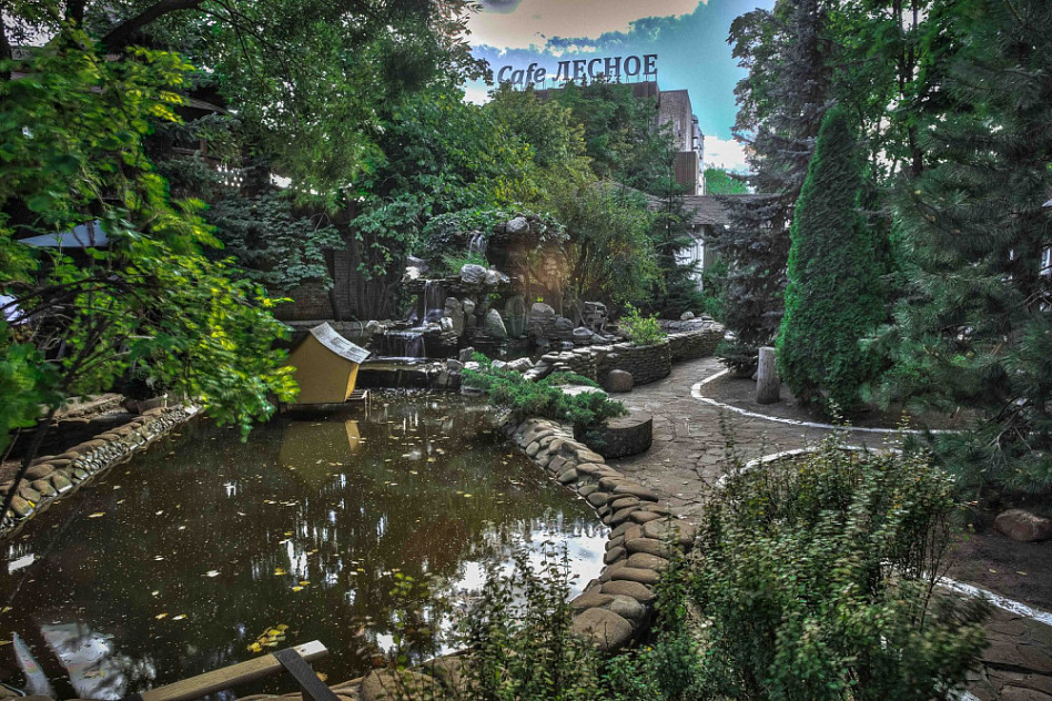 Лесное (закрыт) фото 13