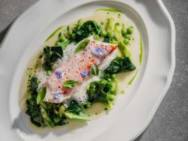 Урожайный сезон Sage