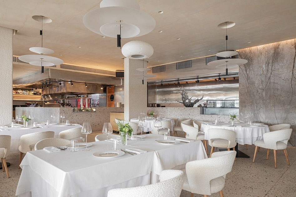 Sansa - фотография № 14