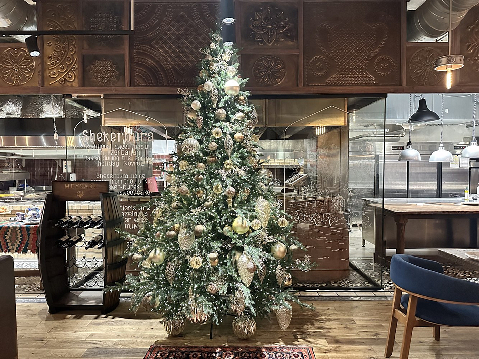 Caspian - фотография № 7