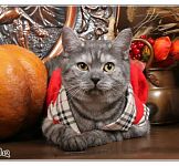 Фото из ресторана Будвар № 3