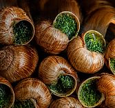 Карнавал улиток в «Шануар»