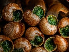 Карнавал улиток в «Шануар»