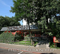 Татами (закрыт) фото 7