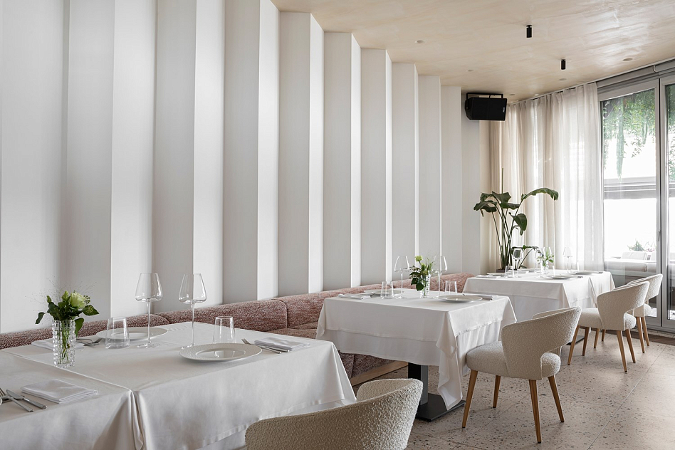 Sansa - фотография № 12