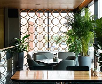 Vasilchuki chaihona № 1 (Солнечный рай)