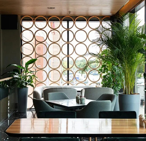 Vasilchuki chaihona № 1 (Солнечный рай)