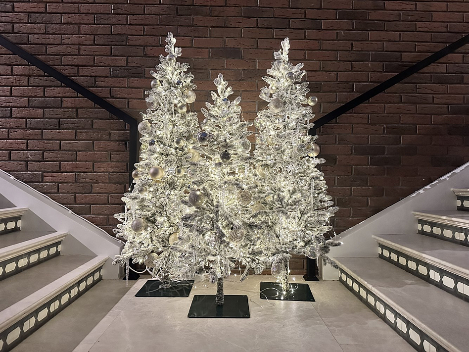 Caspian - фотография № 10