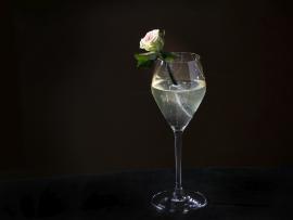 Специальный коктейль для девушек в ресторане Mercedes Bar