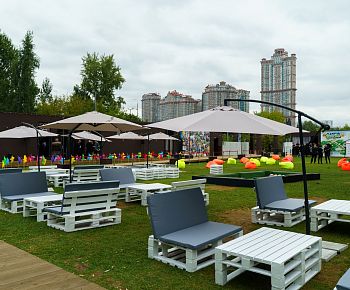 Берёзы парк