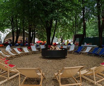 Берёзы парк