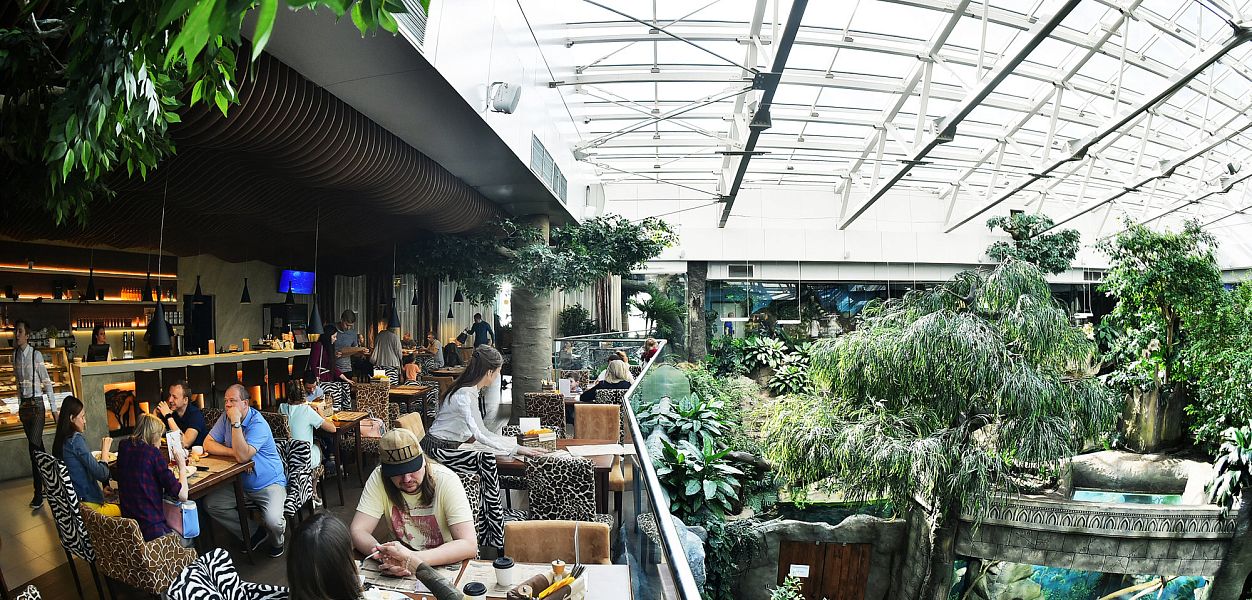 Cafe Forte Bello (Океанариум) - фотография № 10