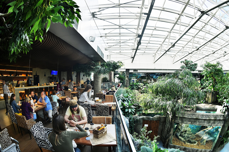 Cafe Forte Bello (Океанариум) фото 13